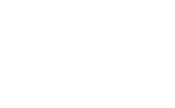 BELservice